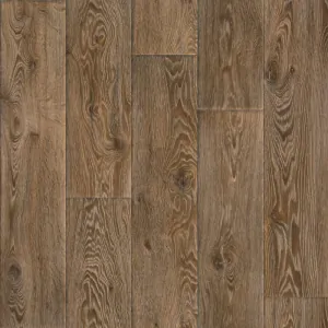 PVC Evolution Raymond 4